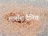 अवैध शराब निर्माण पर आबकारी विभाग की बड़ी कारवाई 