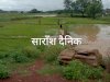 बारिश ने किसानों में जगाई आश