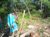 तालचेर शहर में जंगली हाथी का आतंक