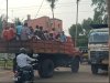श्रमिको को डाले में ठूंस ठूंस कर काम पर लेजाना कहाँ तक उचित है 