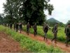 सारंडा़ में पुलिस और नक्सलियो की मुठभेड़ जारी है