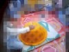 सांस्कृतिक कार्यक्रम की आड़ में पैर पसारता जुआ और शराब 