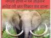 जंगली हाथी ने घर तोड़कर अधेड़ को किया क्षत विक्षत 