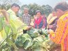 किसान मेला सह उद्यान प्रदर्शनी का आयोजन