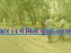 सेक्टर 14 में  मिला युवक का शव 