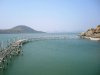 चिलिका के संरक्षण व विकास के लिए 2000 करोड़ रुपये की नई योजना
