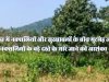 सारंडा में नक्सलियों के बड़े दस्ते की मारे जाने की आशंका