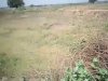 भदेख दिवारा ग्राम पंचायत चढ़ी भ्रष्टाचार के भेंट