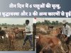 तीन दिन में 6 पशुओं की मृत्यु 4 की बृद्धावस्था और 2 की अन्य कारणों से हुई मौत