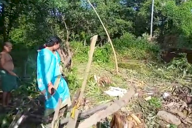 तालचेर शहर में जंगली हाथी का आतंक