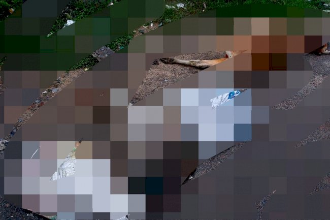ट्रेन की चपेट में आकर तीन गायो की मौत 