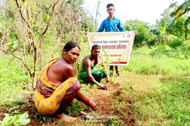विकास फाउंडे़सन ट्रस्ट ने लगवाए 1500 पौधे