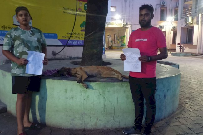 स्टाफ नर्स की लापरवाही से हुई कुत्ते की मौत 