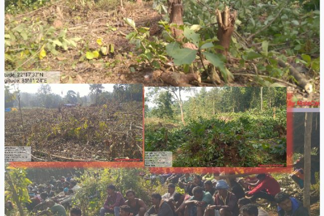 सरंडा में काटे गए पेड़ व की गई कार्यवाही का सच क्या है