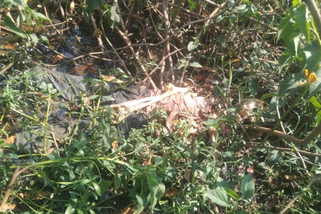 लापता युवक का शव सडी़ गली अवस्था में बरामद हुआ 