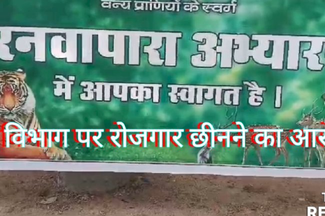 बानरवापारा अभ्यारण्य में जिप्सी चालकों को रोजगार छिनने का डर 
