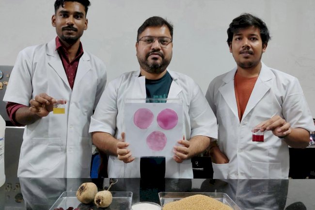 एनआईटी में बायोडिग्रेडेबल सीफूड पैकेजिंग का विकास किया गया 