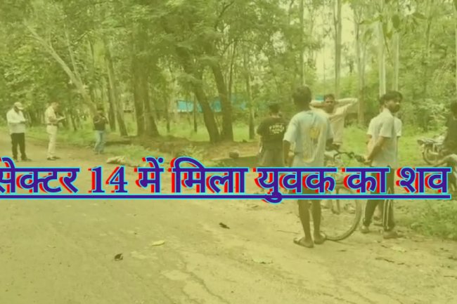सेक्टर 14 में  मिला युवक का शव 