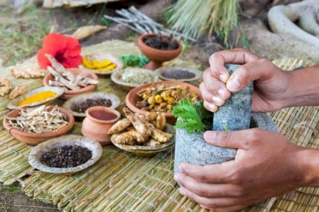 हमारे जीवन में आयुर्वेद का महत्व