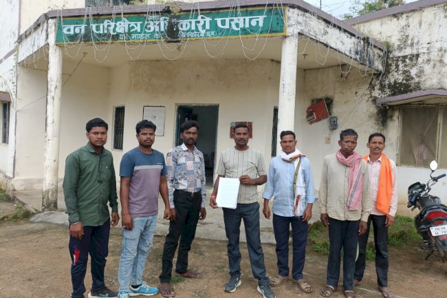 पसान में जंगल का खुलेआम कत्ल