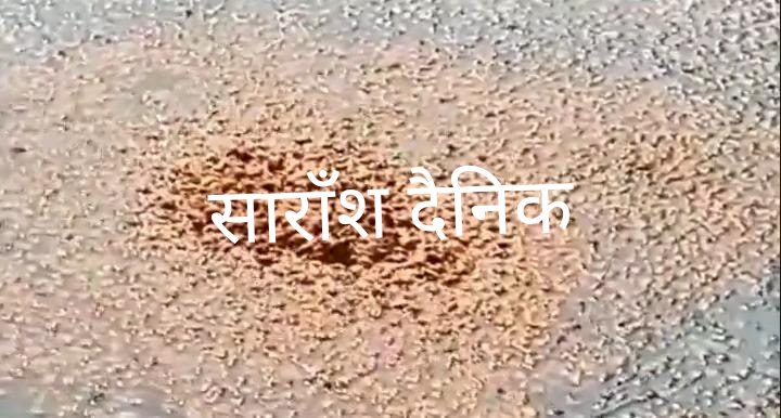 अवैध शराब निर्माण पर आबकारी विभाग की बड़ी कारवाई 