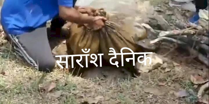 अवैध शराब निर्माण पर आबकारी विभाग की बड़ी कारवाई 