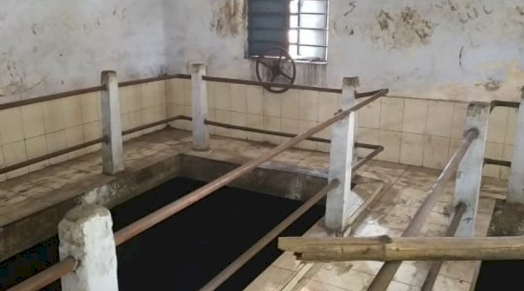 कालोनी में दी जा रही बिषैला पेयजल 