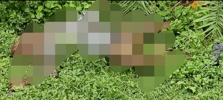 जंगली झाड़ियों के बीच से सडी़गली शव बरामद 