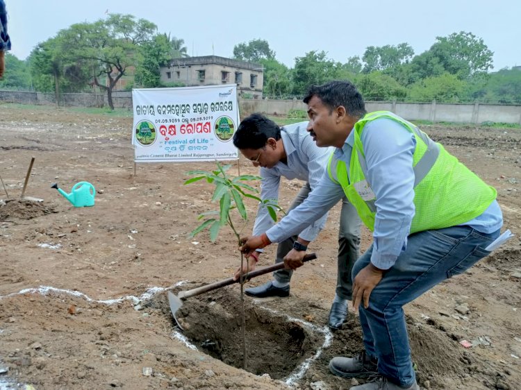 वन महोत्सव पहल लगाए 11 दिनो में 5068 पेड़