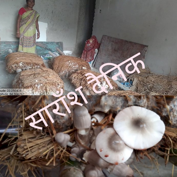 आजीविका सृजन के लिए मशरूम की खेती को बढ़ावा 