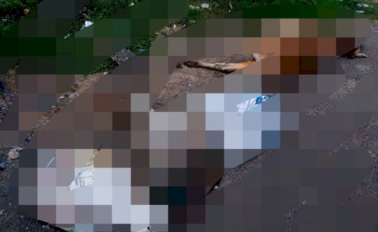ट्रेन की चपेट में आकर तीन गायो की मौत 