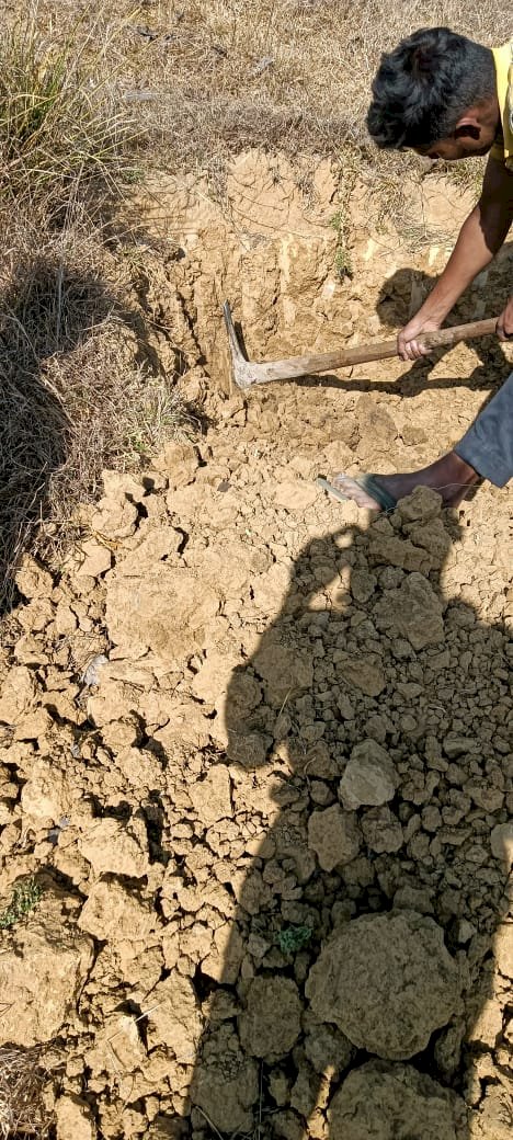 अधकटी गाय छोड़कर भागे कसाई 