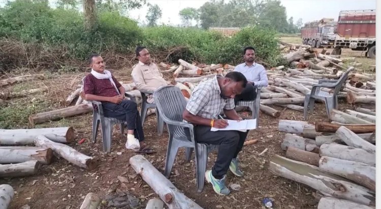 तीन ट्रक अवैध लकड़ी सहित जब्त चालक फरार