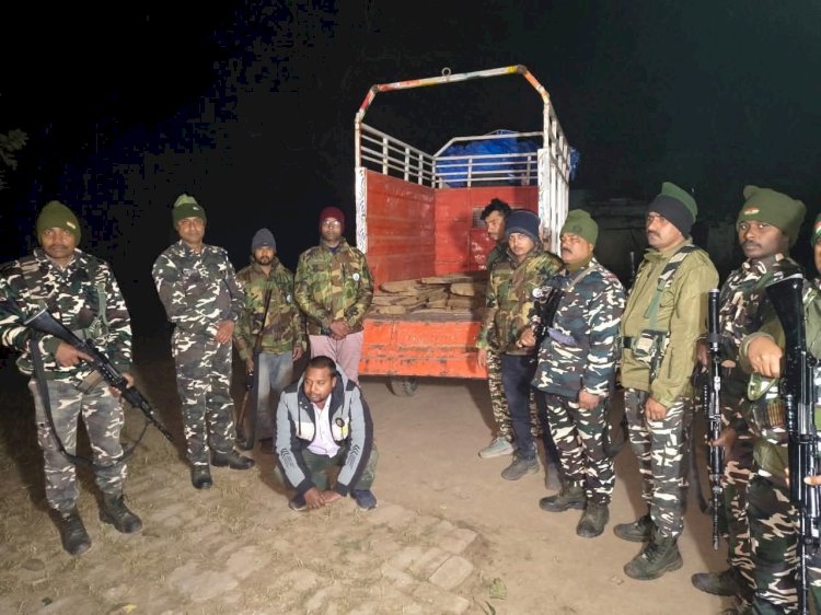 श्रावस्ती/बलरामपुर सीमा क्षेत्र में पकडी गई अवैध लकड़ी