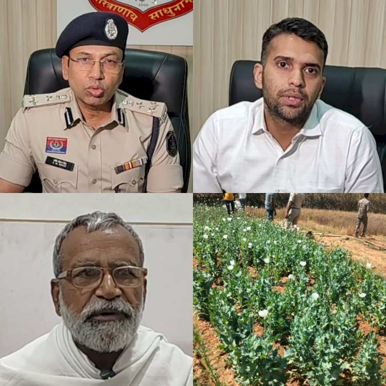 रायगढ़  बनांचल में सफेद जहर का बढ़ता साम्राज्य 