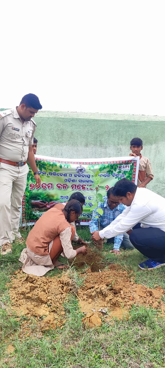 बडे़ पैमाने पर बृक्षारोपण कर मनाया गया वन महोत्सव