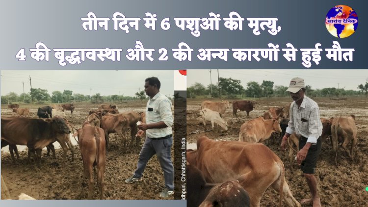 तीन दिन में 6 पशुओं की मृत्यु 4 की बृद्धावस्था और 2 की अन्य कारणों से हुई मौत